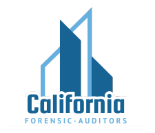 forensic-auditors logo (300 x 300 px)
